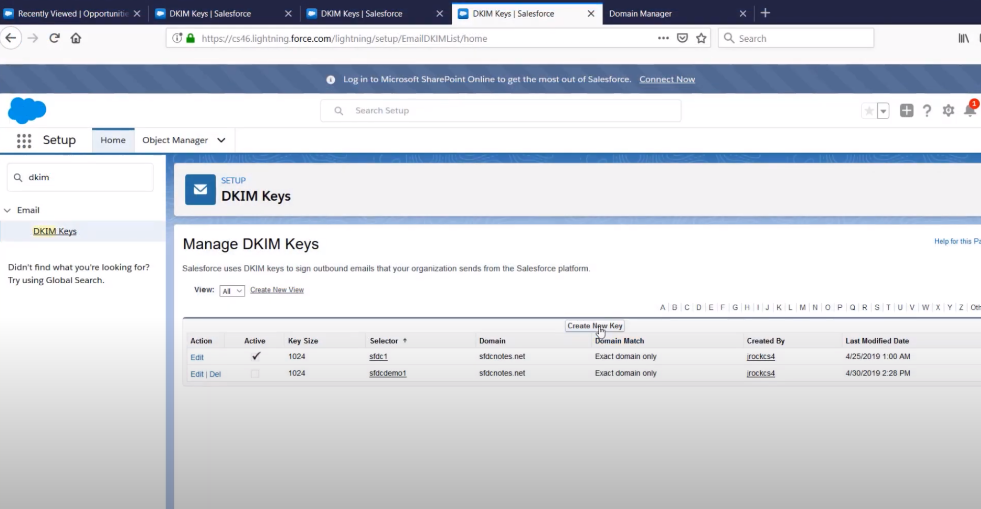 Captura de pantalla de Salesforce Dkim 1