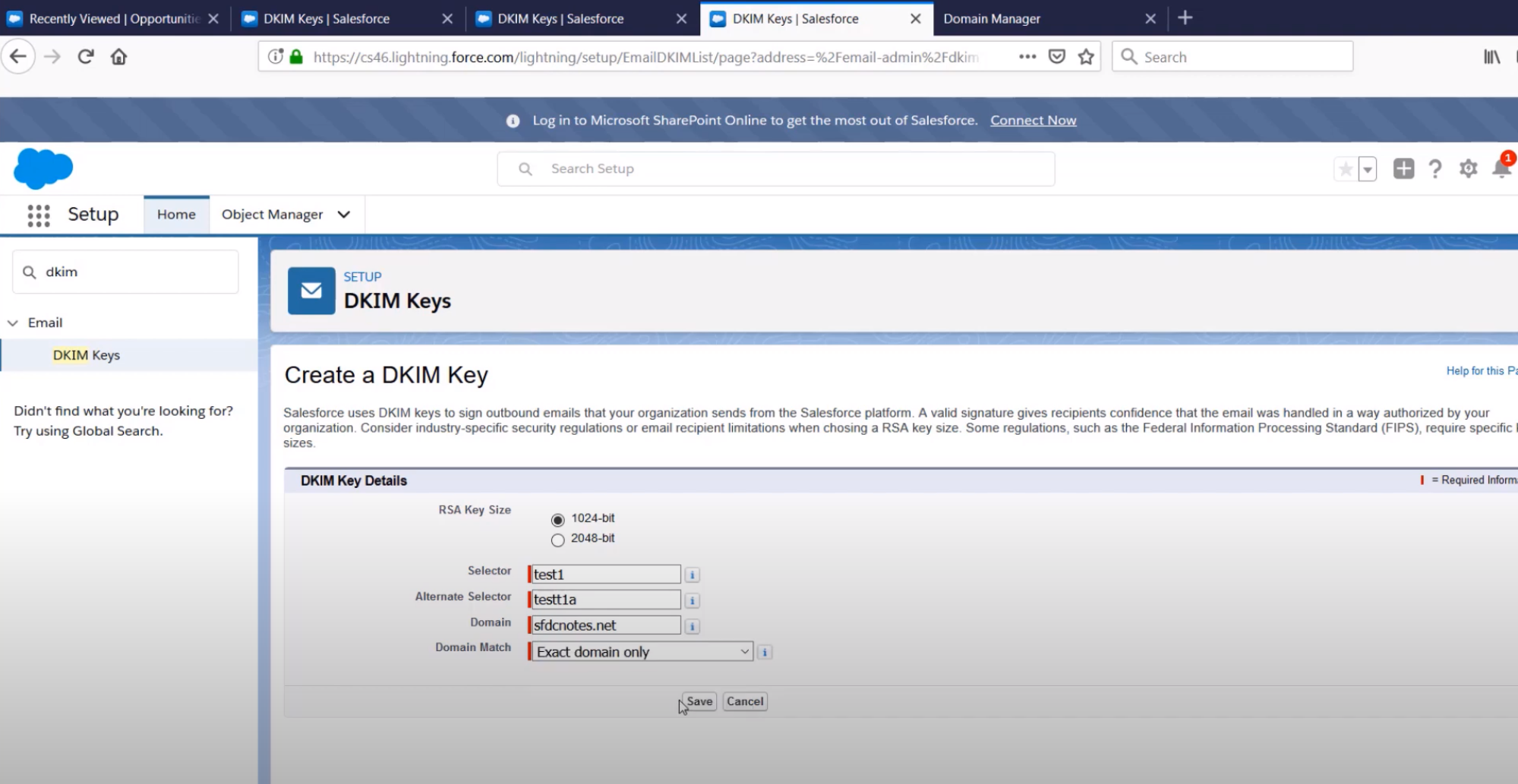 Captura de pantalla 2 de Salesforce Dkim