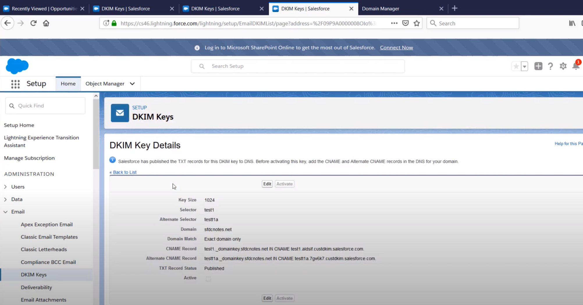 Captura de pantalla 3 de Salesforce Dkim